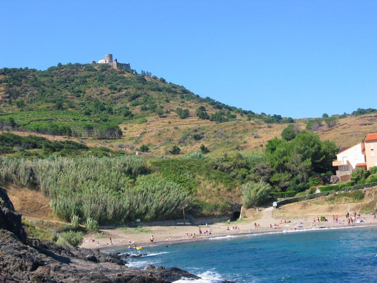 Appartement Avec Vue Sur Mer A Port Vendres 60 M² Balcons 외부 사진